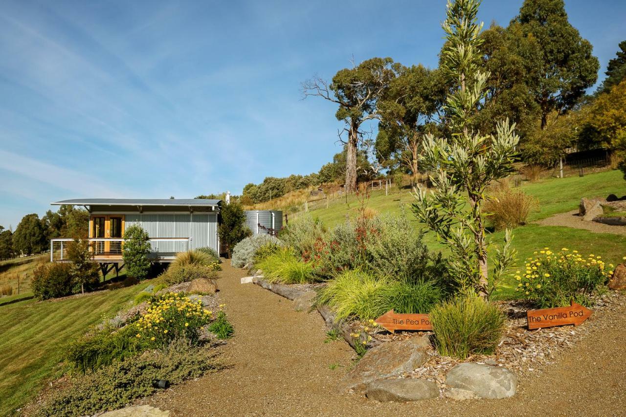 Hobart Hideaway Pods Bed & Breakfast Kingston Luaran gambar